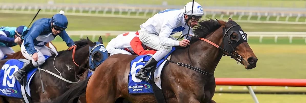 Exasperate-Ladbrokes-copy.webp