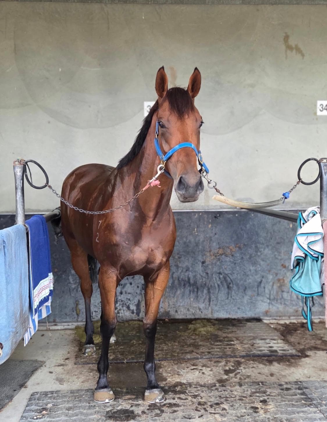 Too Much too Soon-1.jpg