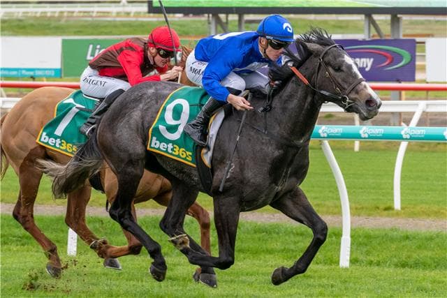 She's Pretty Rich wins at Sandown