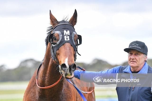 Shane and Rip n Rip.jpg