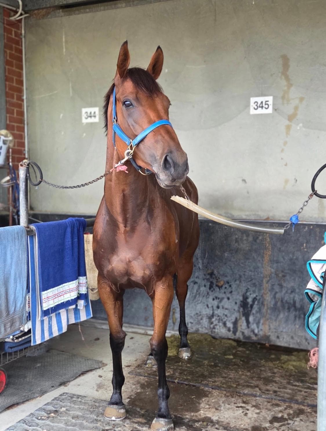 Too Much too Soon-2.jpg